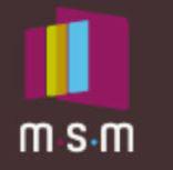 logo-msm